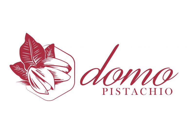 Logo Domo Pistachio
